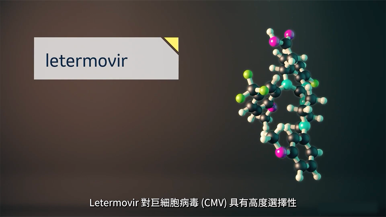 【Letermovir MoA】從獨特CMV預防機轉了解 PREVYMIS！ - MSD Connect Taiwan